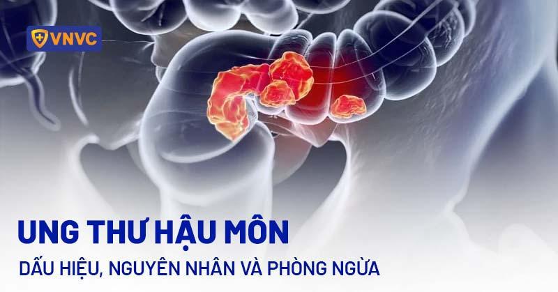 Lịch sử phát triển và các cột mốc quan trọng của phim Boylove Đam Mỹ Trung Quốc